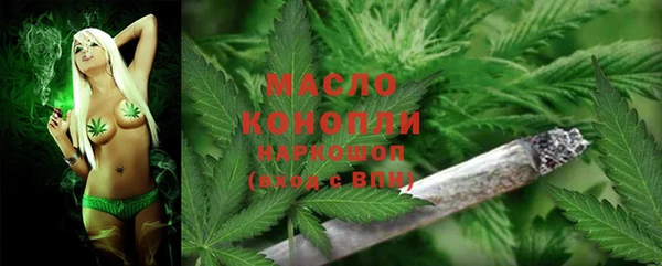 эйфоретик Михайлов