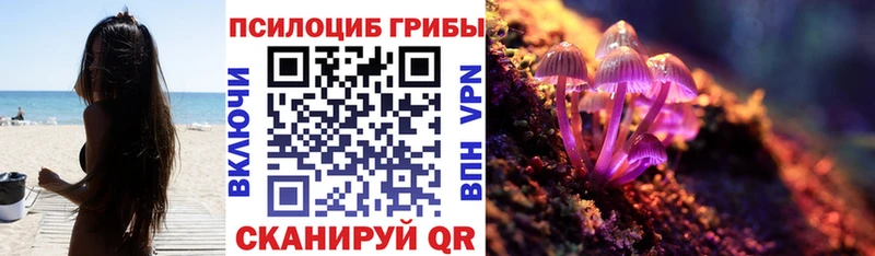 купить наркотики сайты  Козловка  Галлюциногенные грибы Psilocybine cubensis 